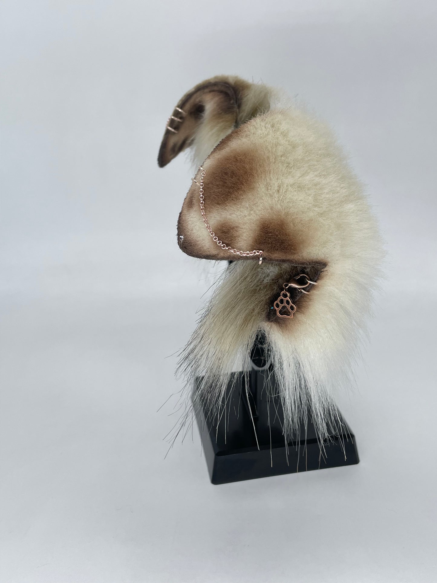 Toffee & Cream Pup Set