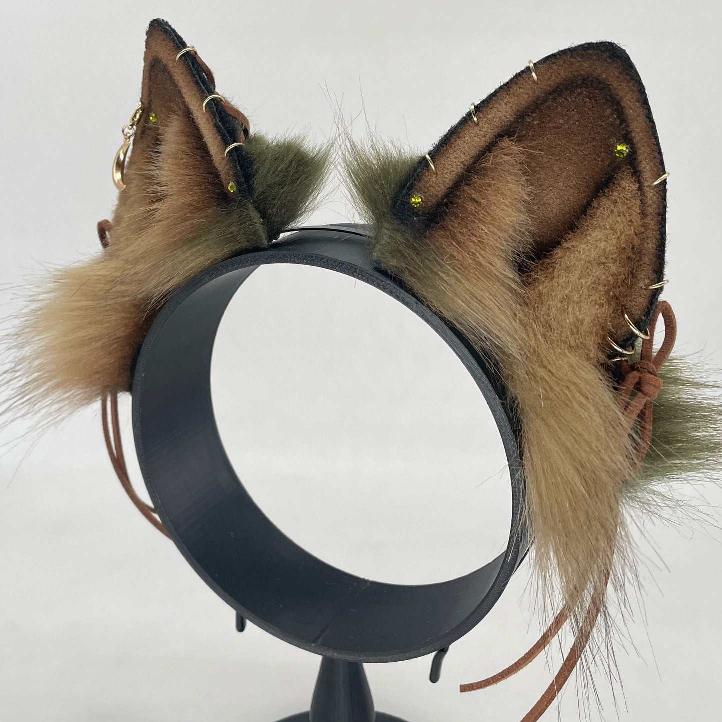 Spellbound Shiba Inu ears