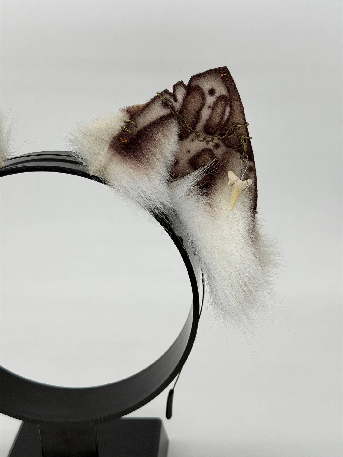 Leopard Shark Ears (Cat shape)