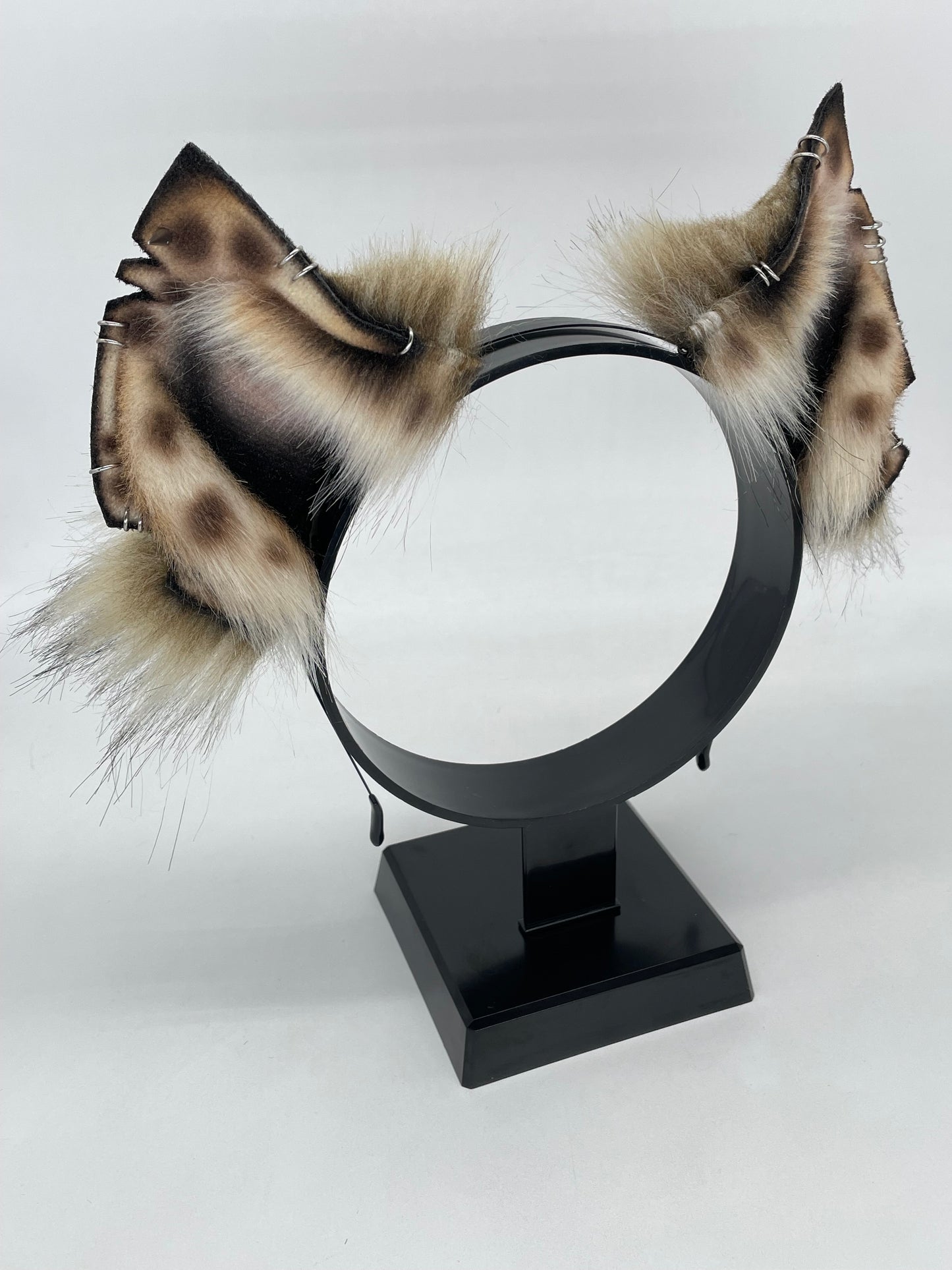 Savanna- Spotted Hyena Ears