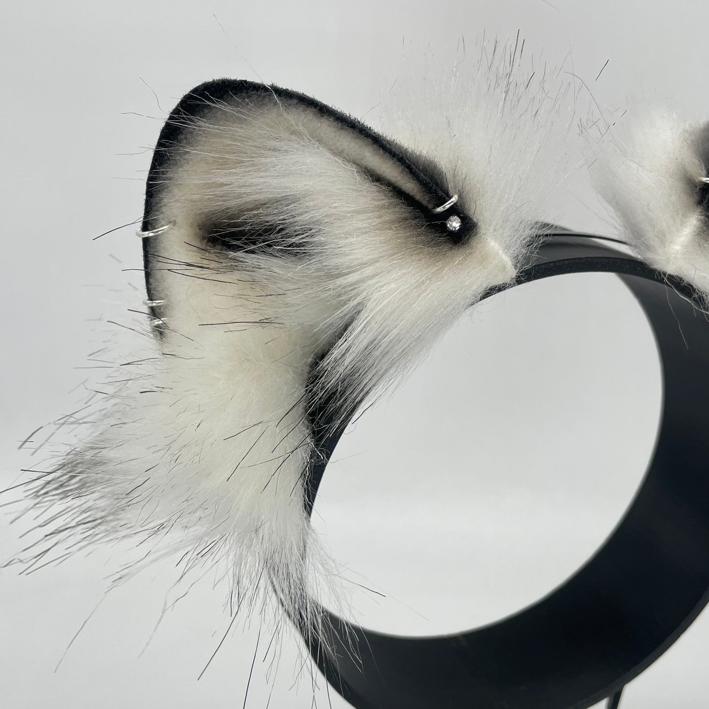 Arctic Fox Kit Ears