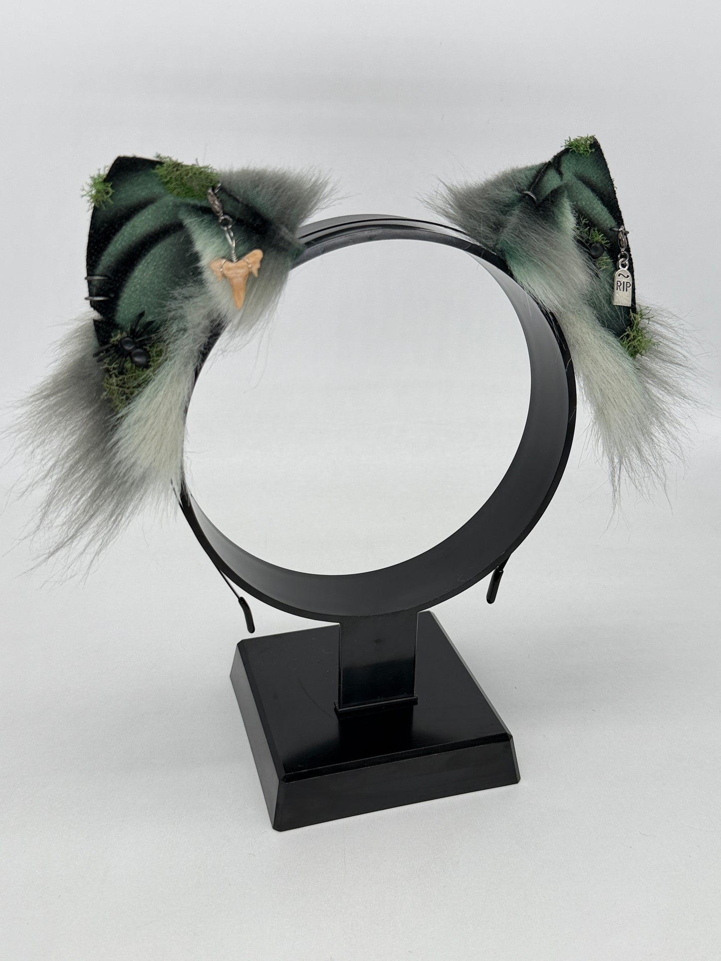 Mausoleum Shark Ears (Kitten shape)