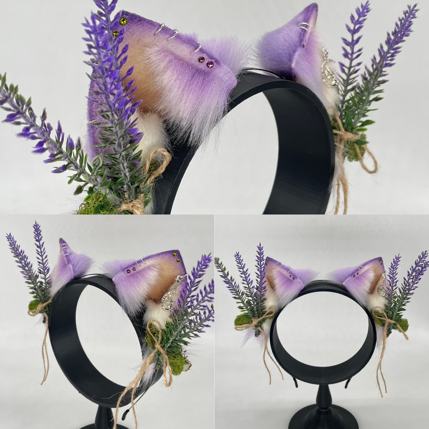 Lavender Fairy mini kitten