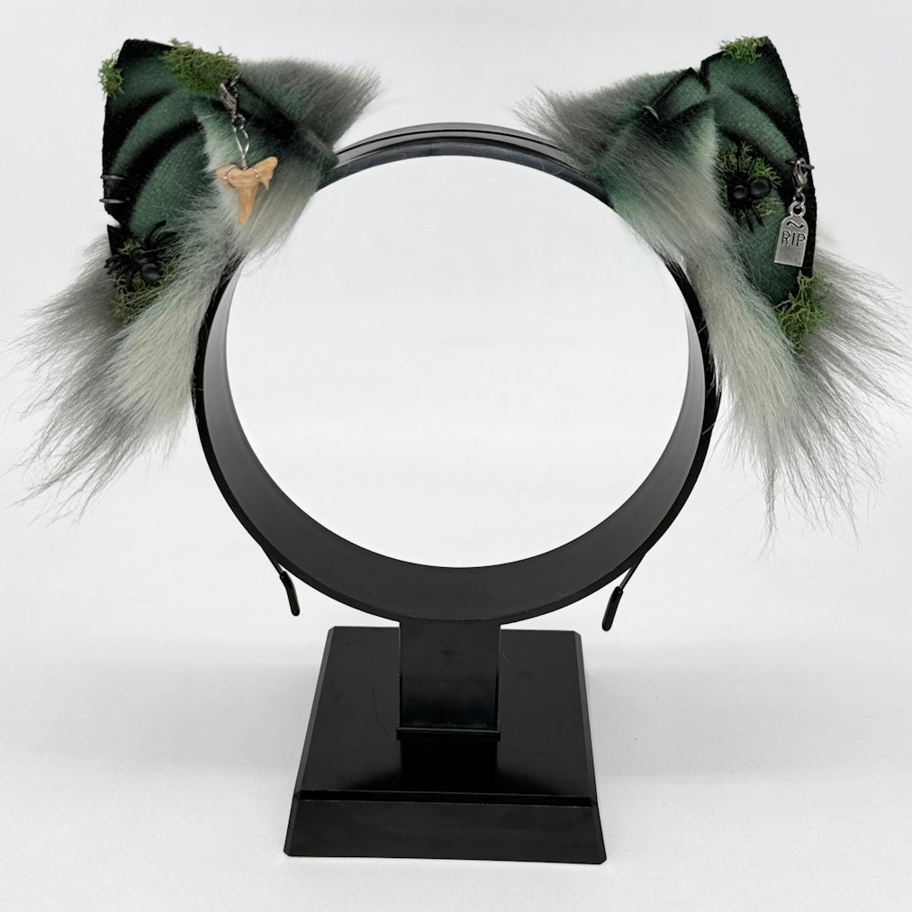 Mausoleum Shark Ears (Kitten shape)