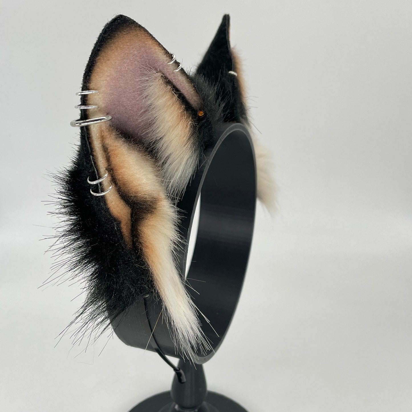 Black & Tan Shiba Inu ears