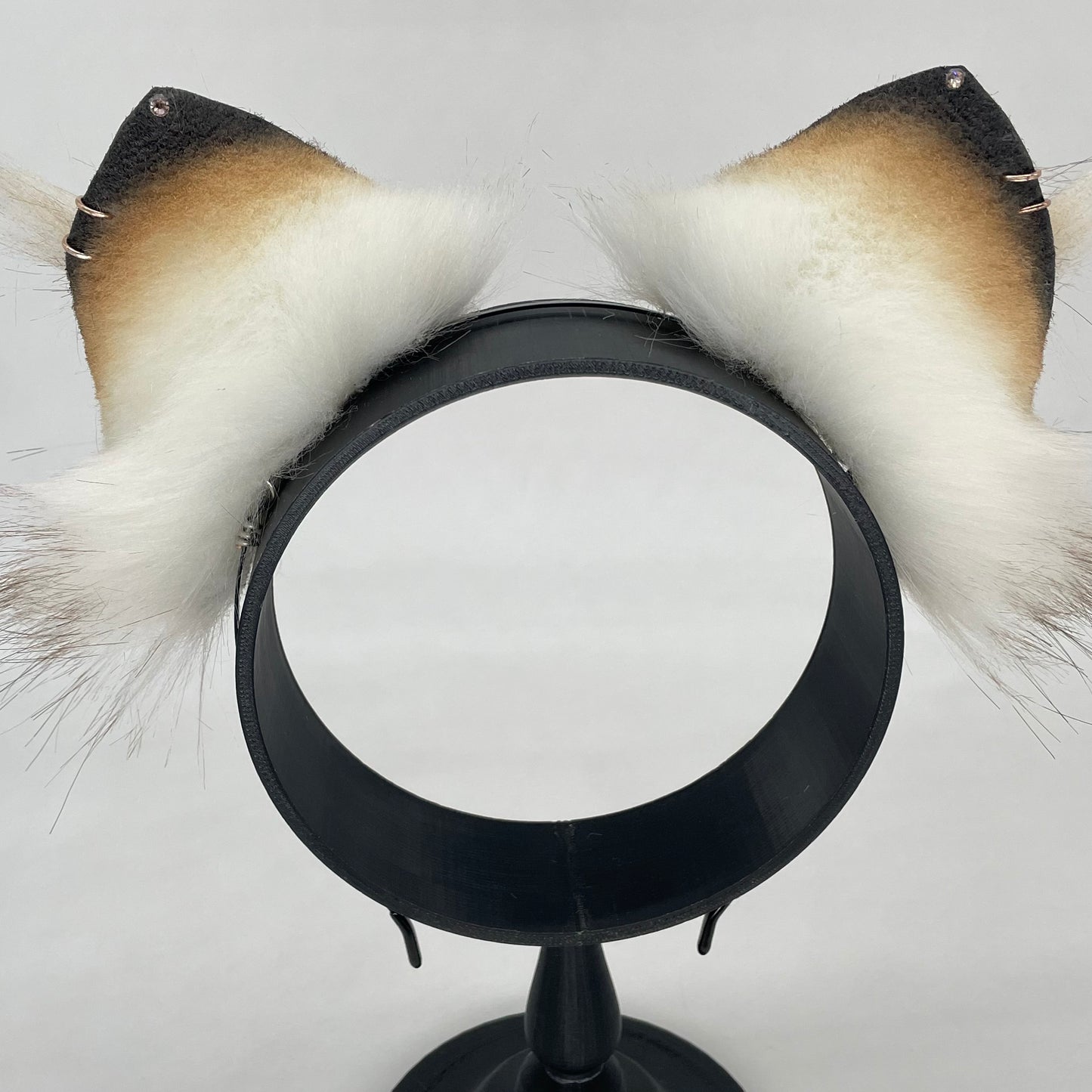 Toasted Arctic Wolf Pup ears