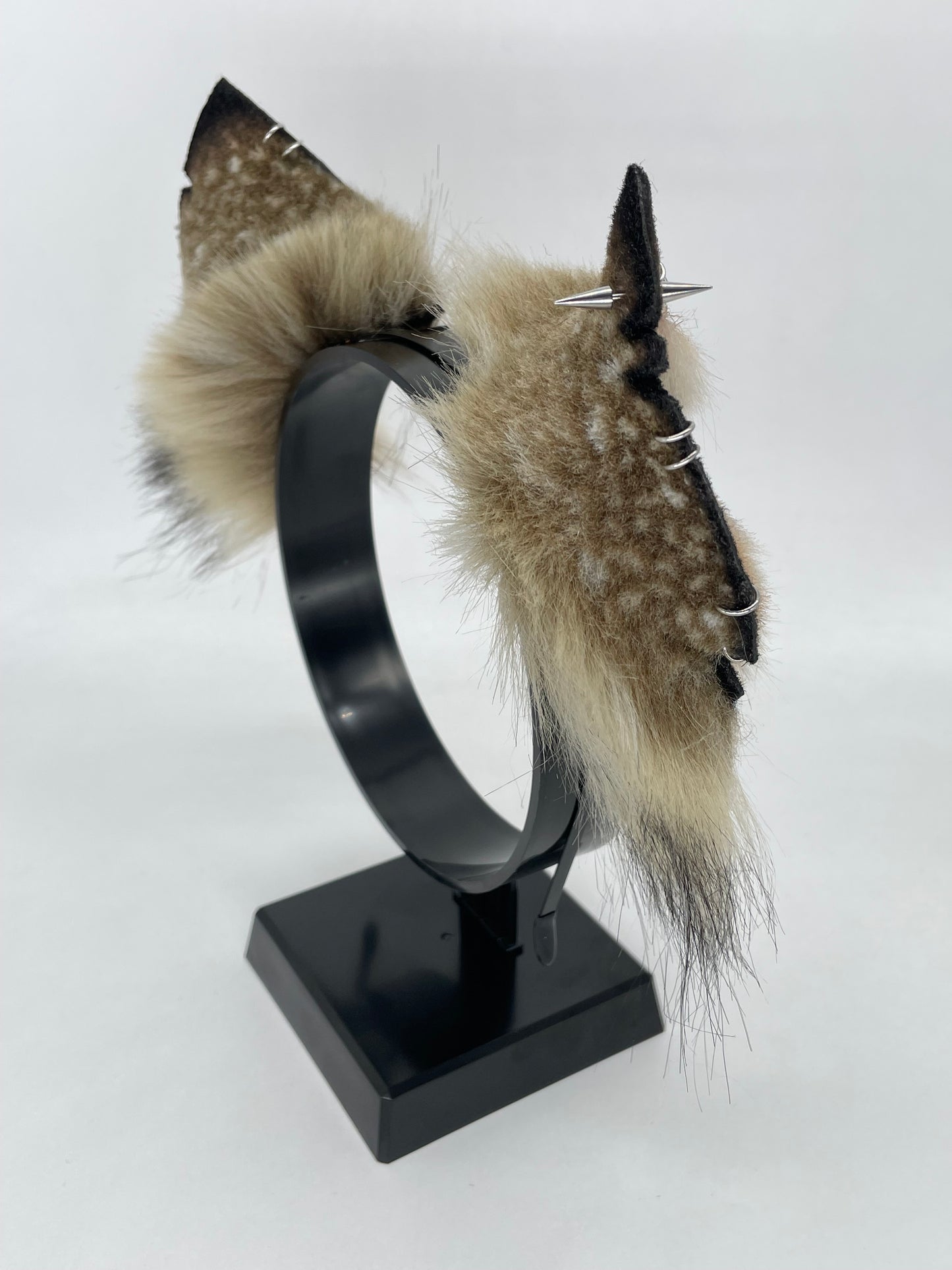 Savanna- Spotted Hyena Ears