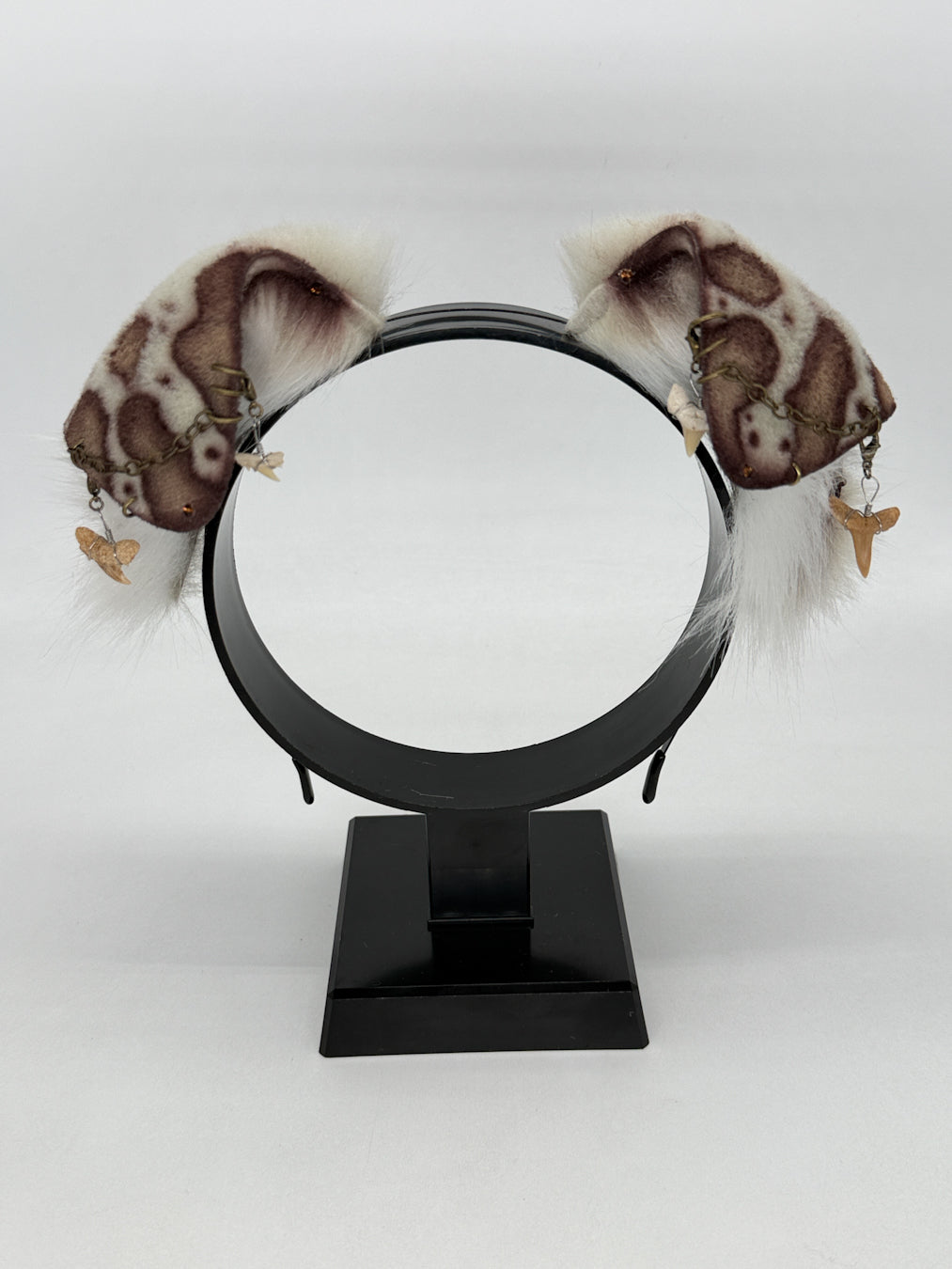 Leopard Shark Ears (Pup shape)