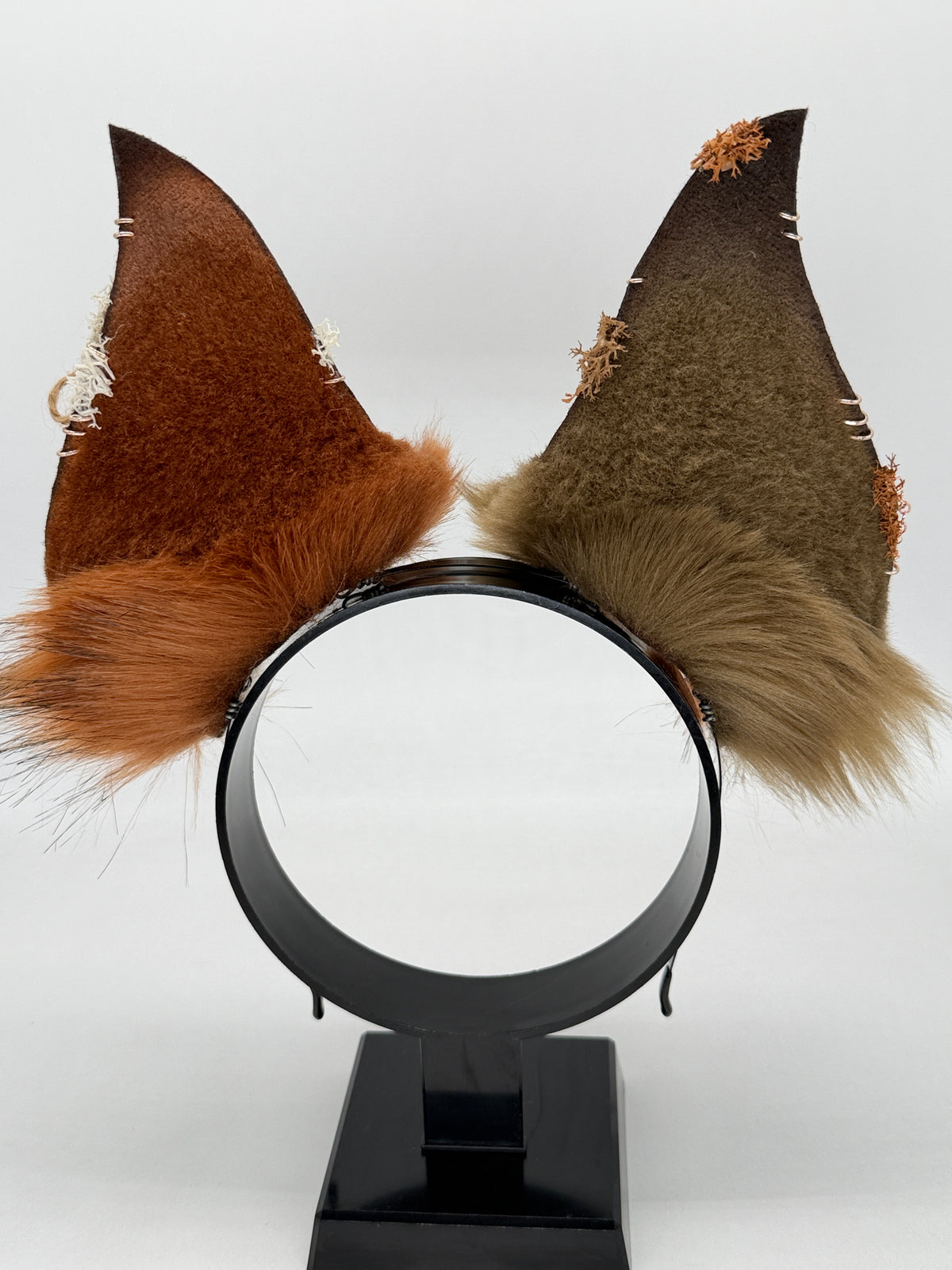 Pumpkin Patch Critters- Cathedral Bat Ears