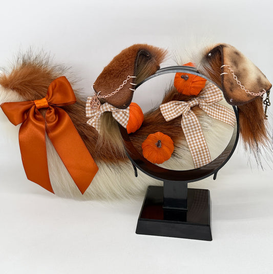 Pumpkin Spice Pup Set