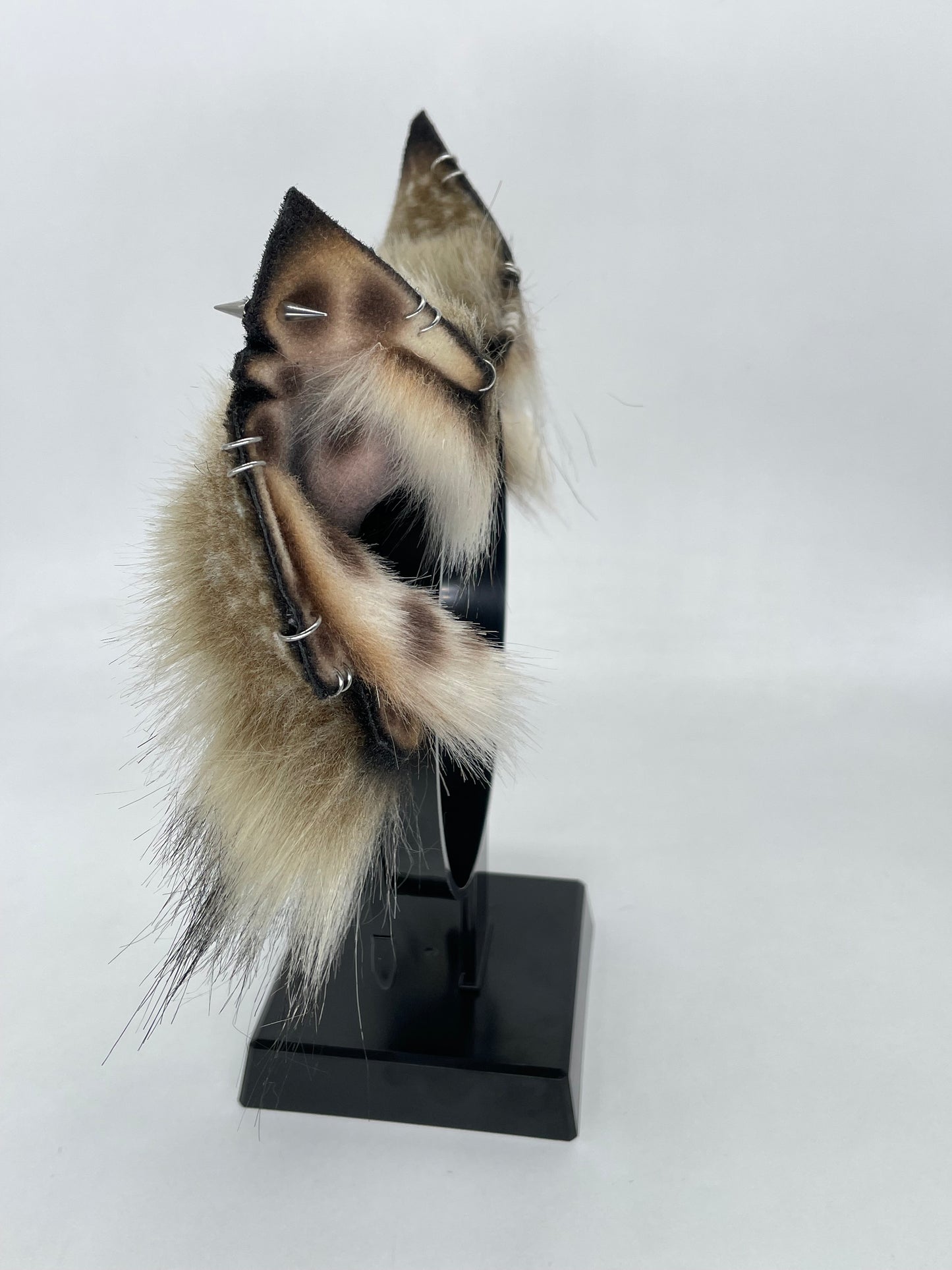 Savanna- Spotted Hyena Ears