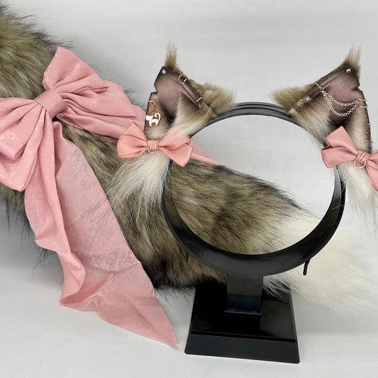 Tabby Maine Coon Kitten Set