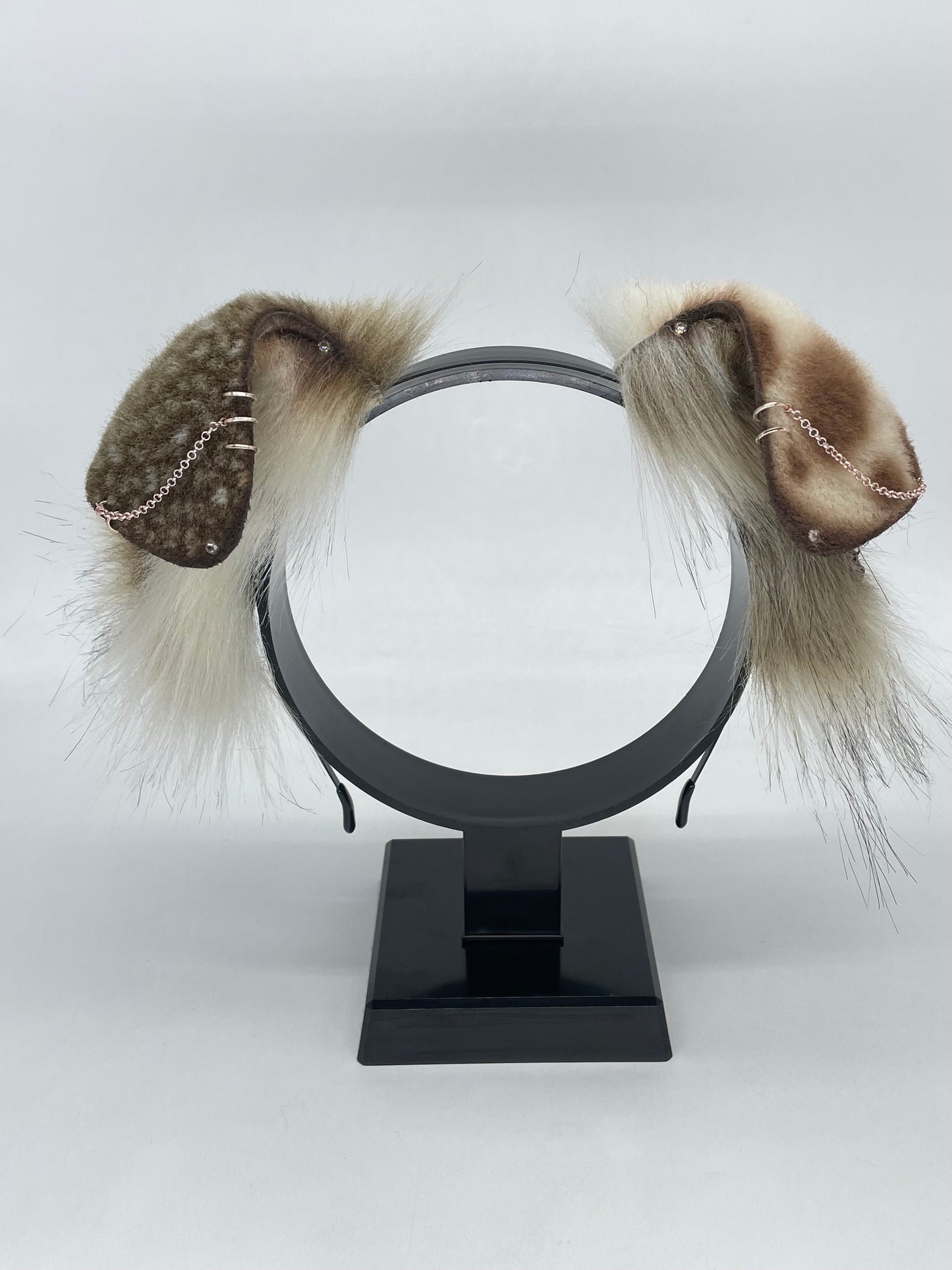 Toffee & Cream Pup Set