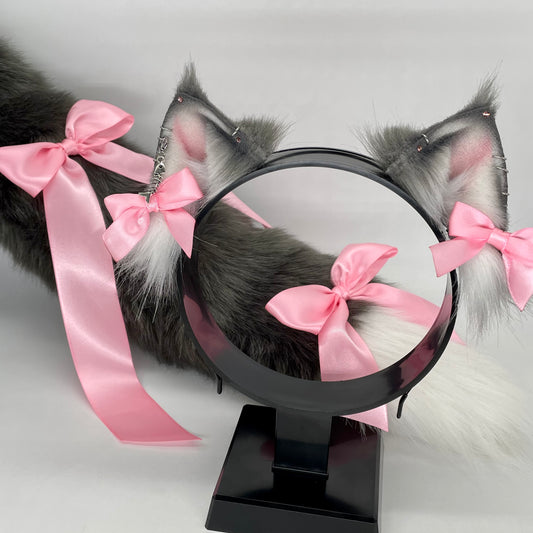 Grey Maine Coon Kitten Set