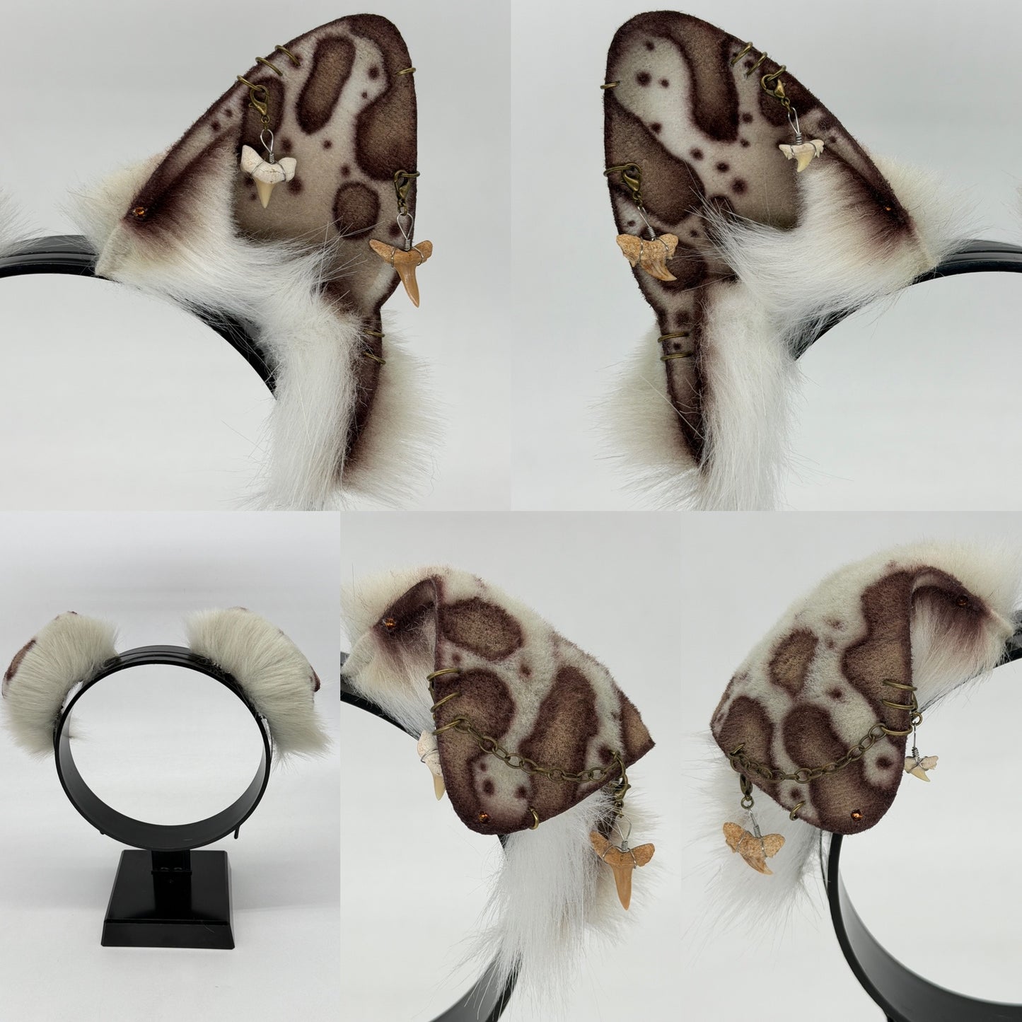 Leopard Shark Ears (Pup shape)