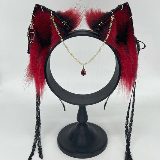 Vampire Queen kitten